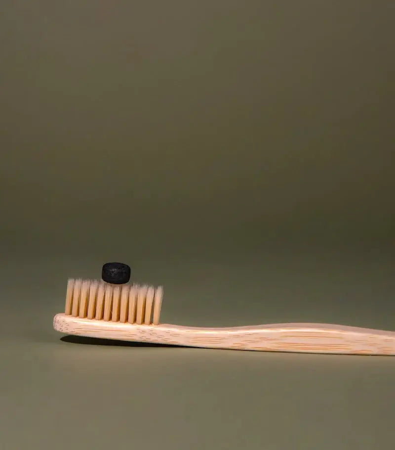 Mint Charcoal Toothpaste Tablets-Compostable Refill 124 tabs