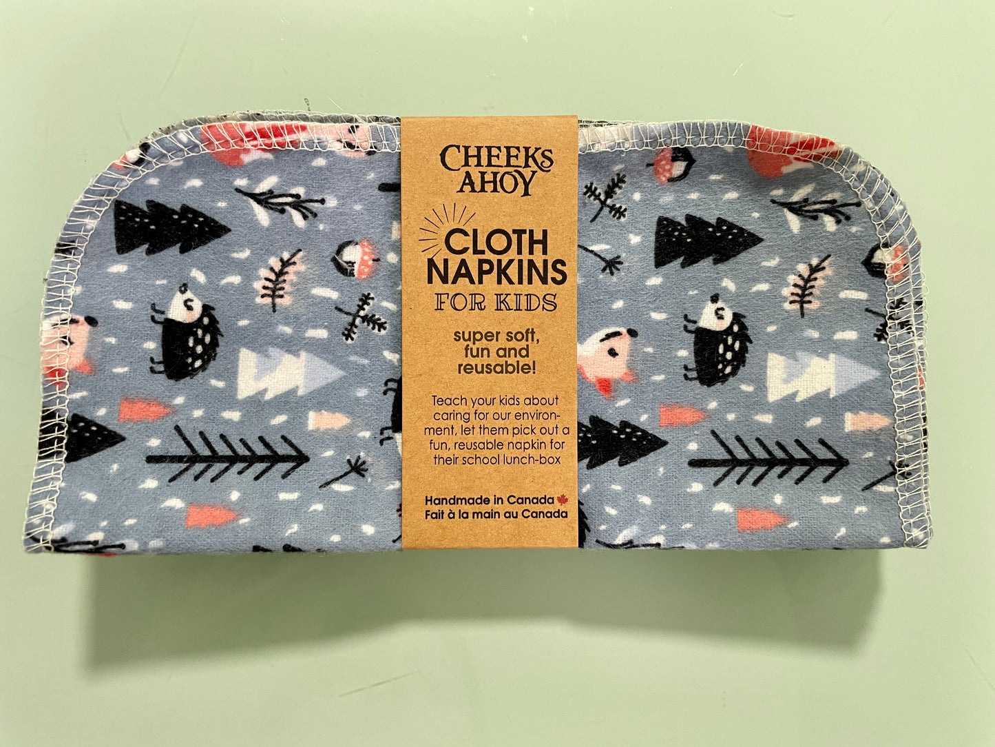 Cloths Napkins for Kids