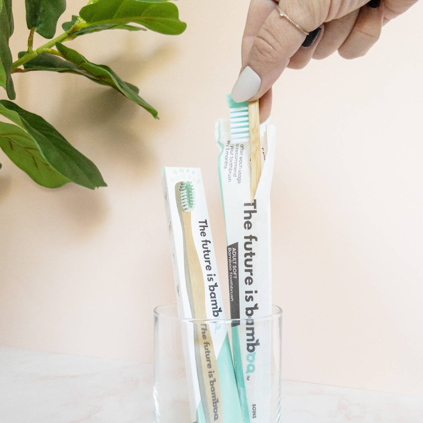 Adult Soft Toothbrush