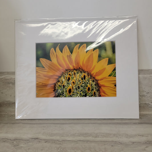 8x10 Matted Print