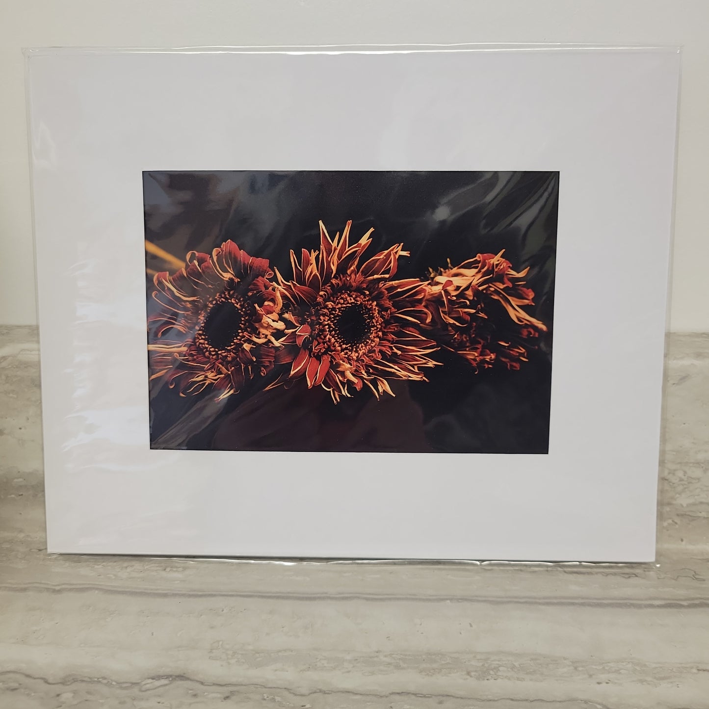 8x10 Matted Print