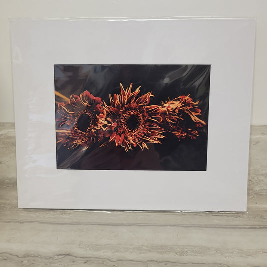 8x10 Matted Print