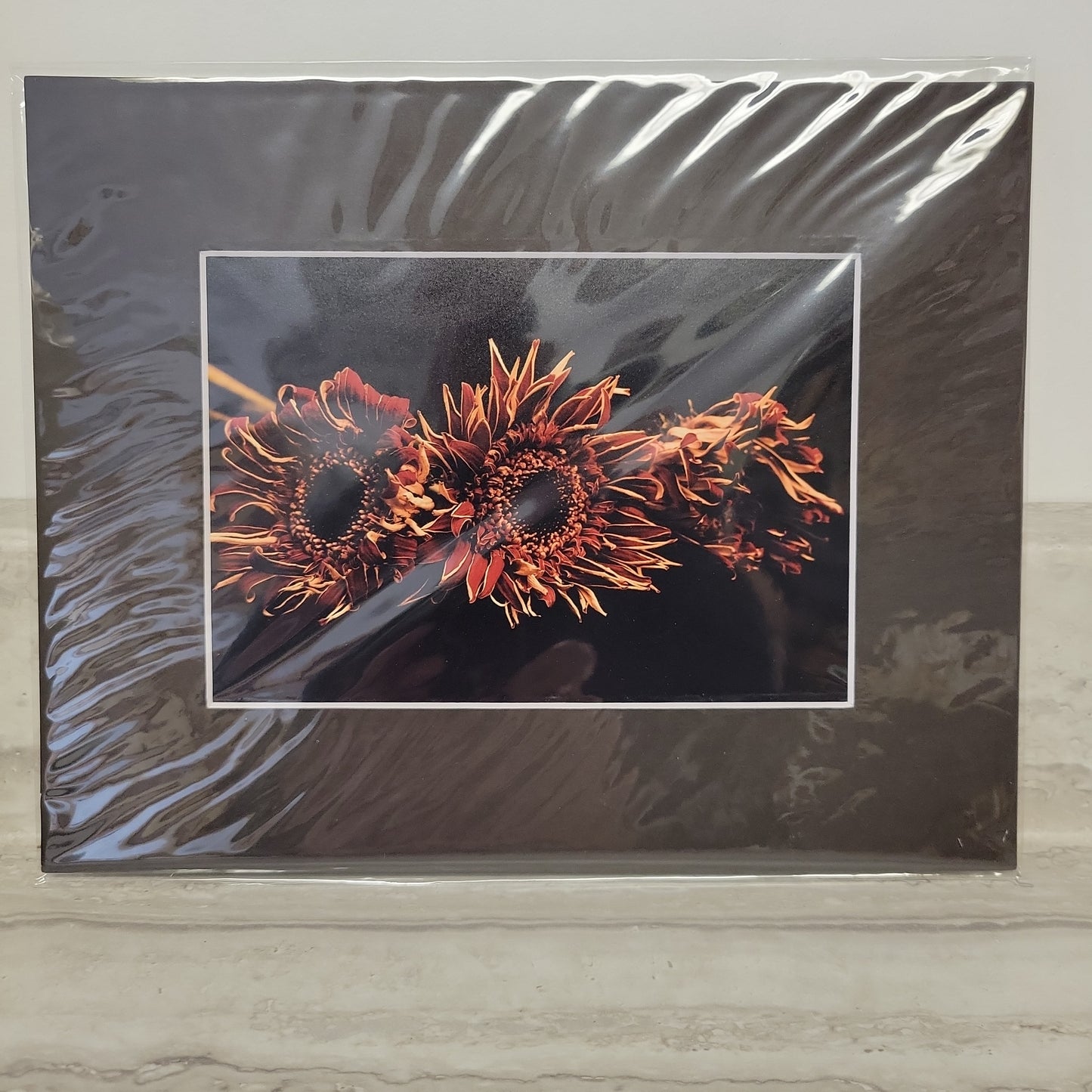 8x10 Matted Print