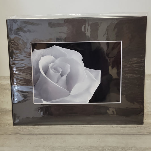 8x10 Matted Print