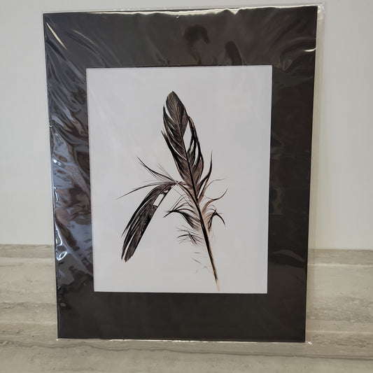11x 14 Matted Print
