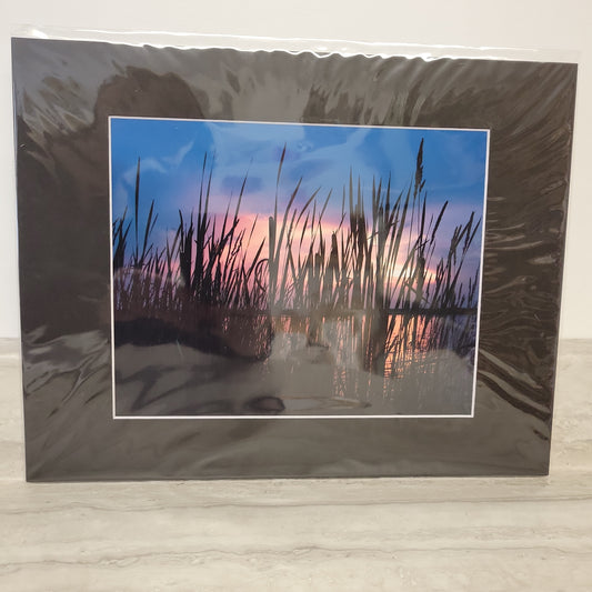 11x 14 Matted Print