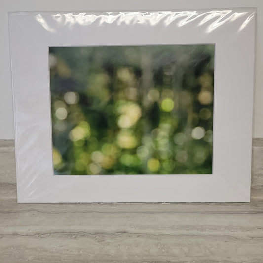 11x14 Matted Print