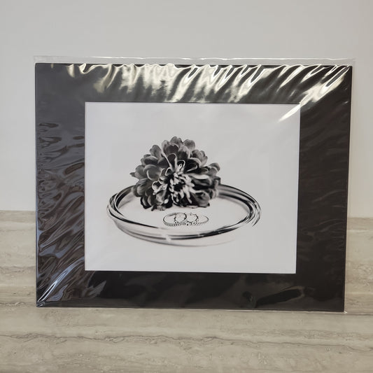 11x14 Matted Print