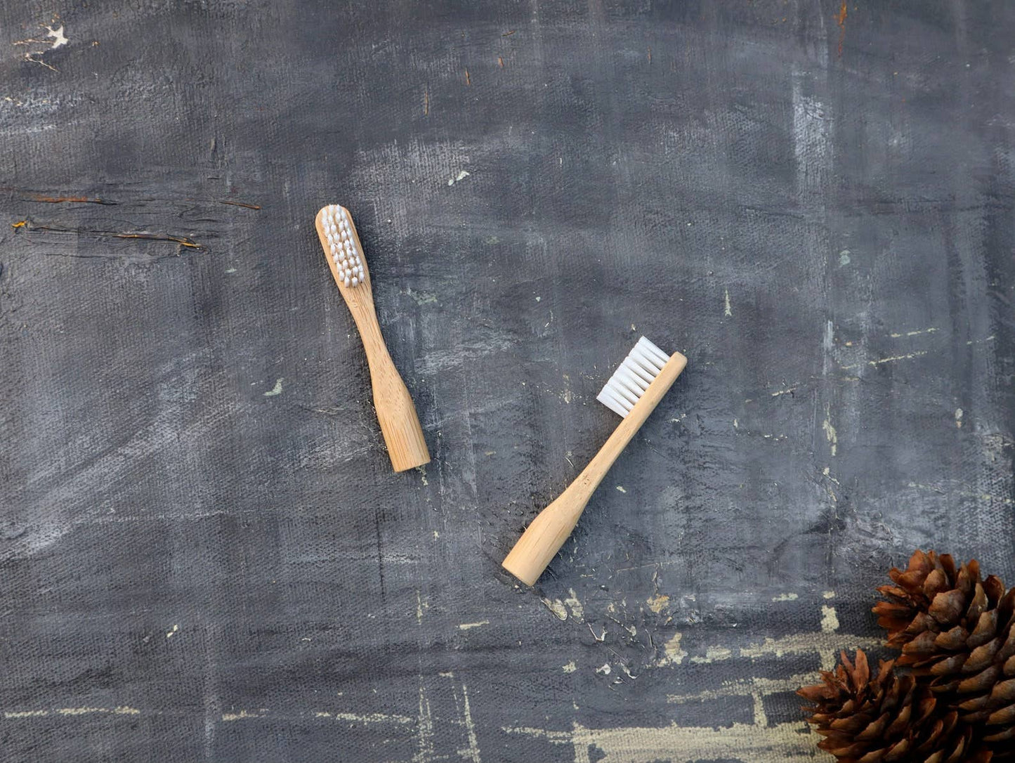 Refillable Bamboo Toothbrush
