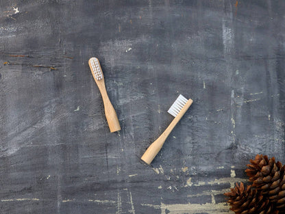 Refillable Bamboo Toothbrush