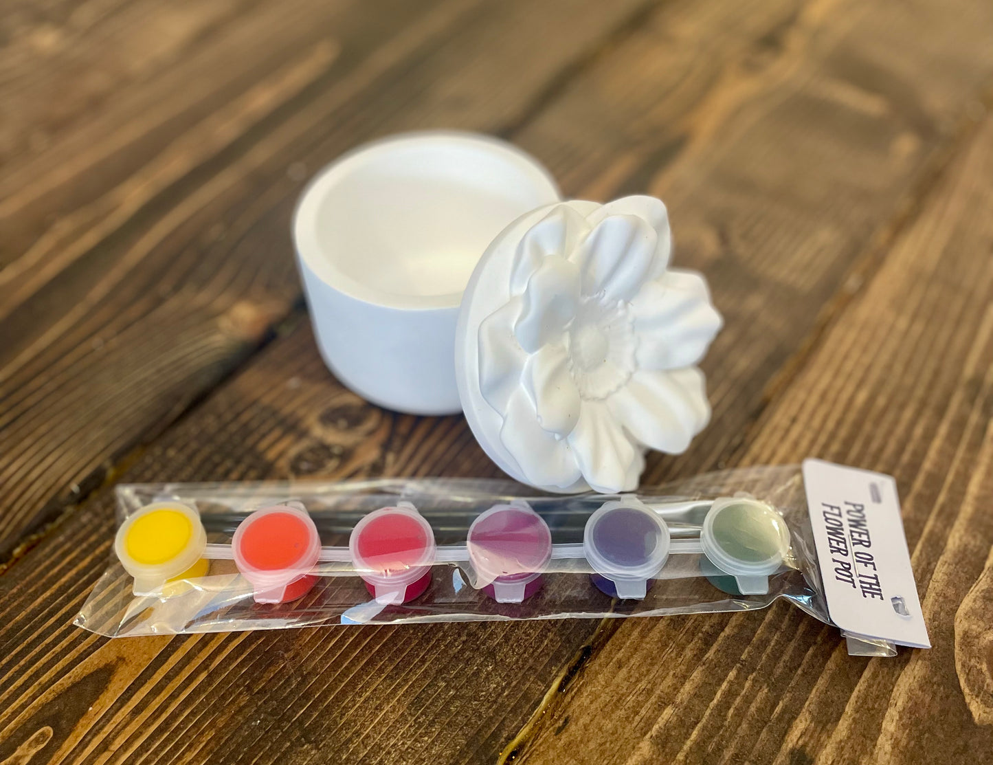 Paint Your Own Pottery Kit