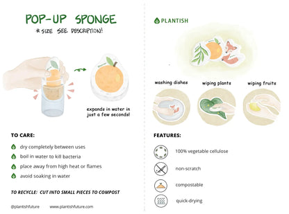 Pop-Up Sponge
