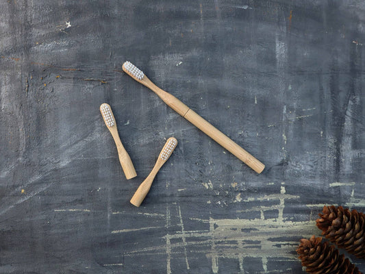 Refillable Bamboo Toothbrush