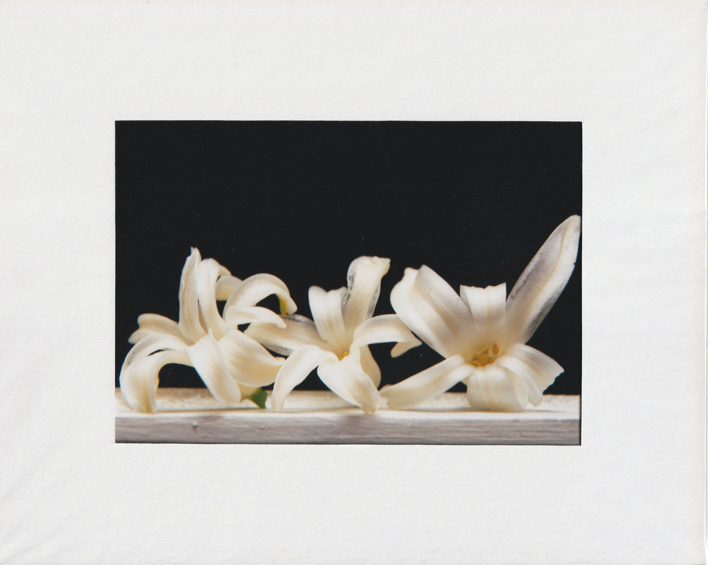 Matted Prints - 8x10