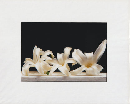 Matted Prints - 8x10
