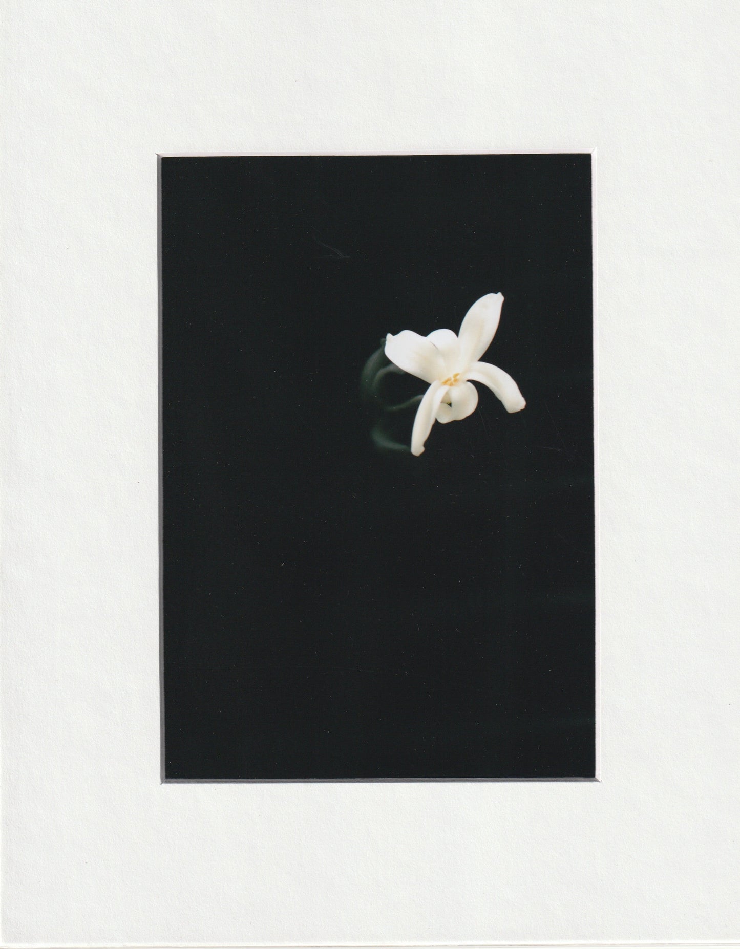 Matted Prints - 8x10