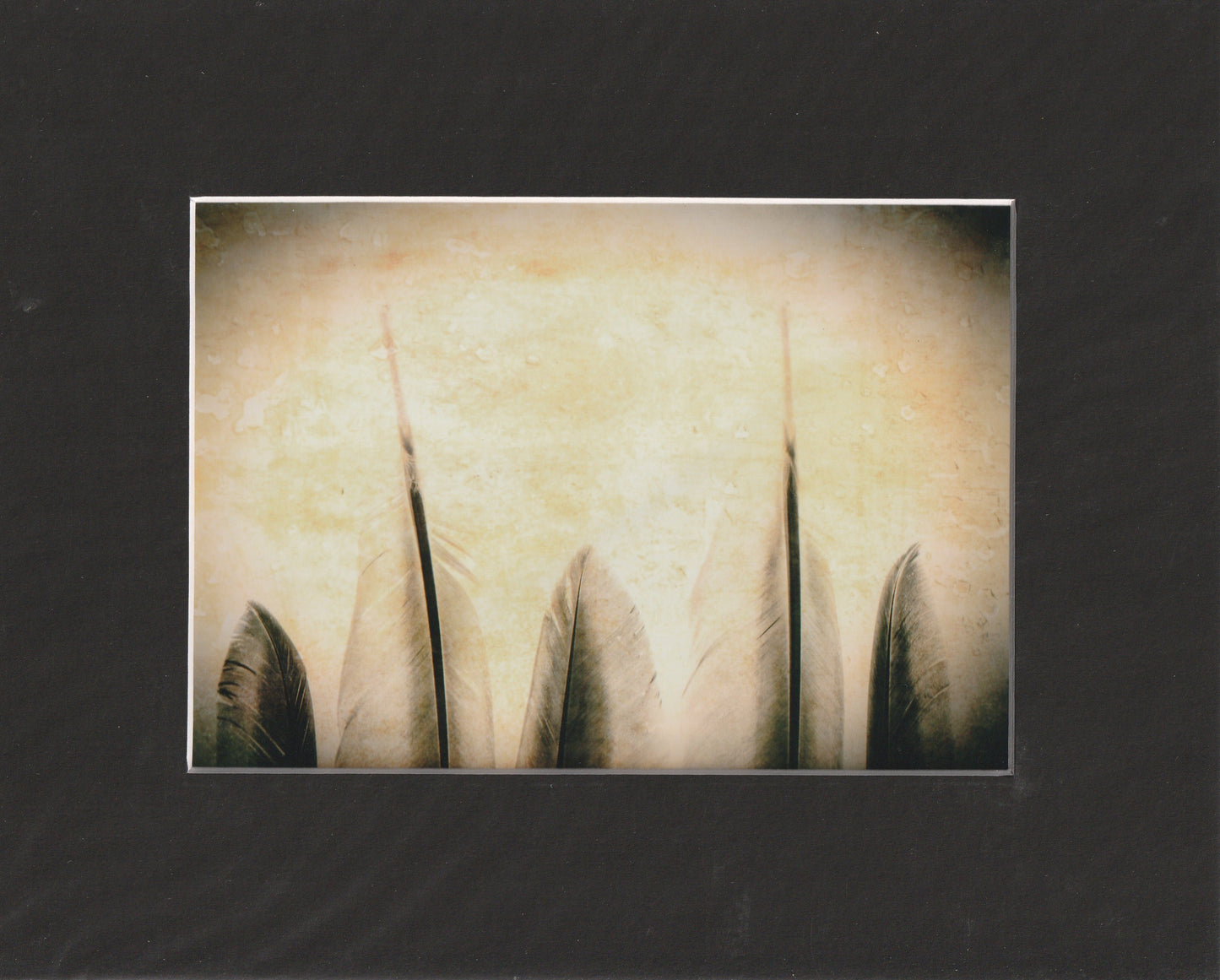 Matted Prints - 8x10