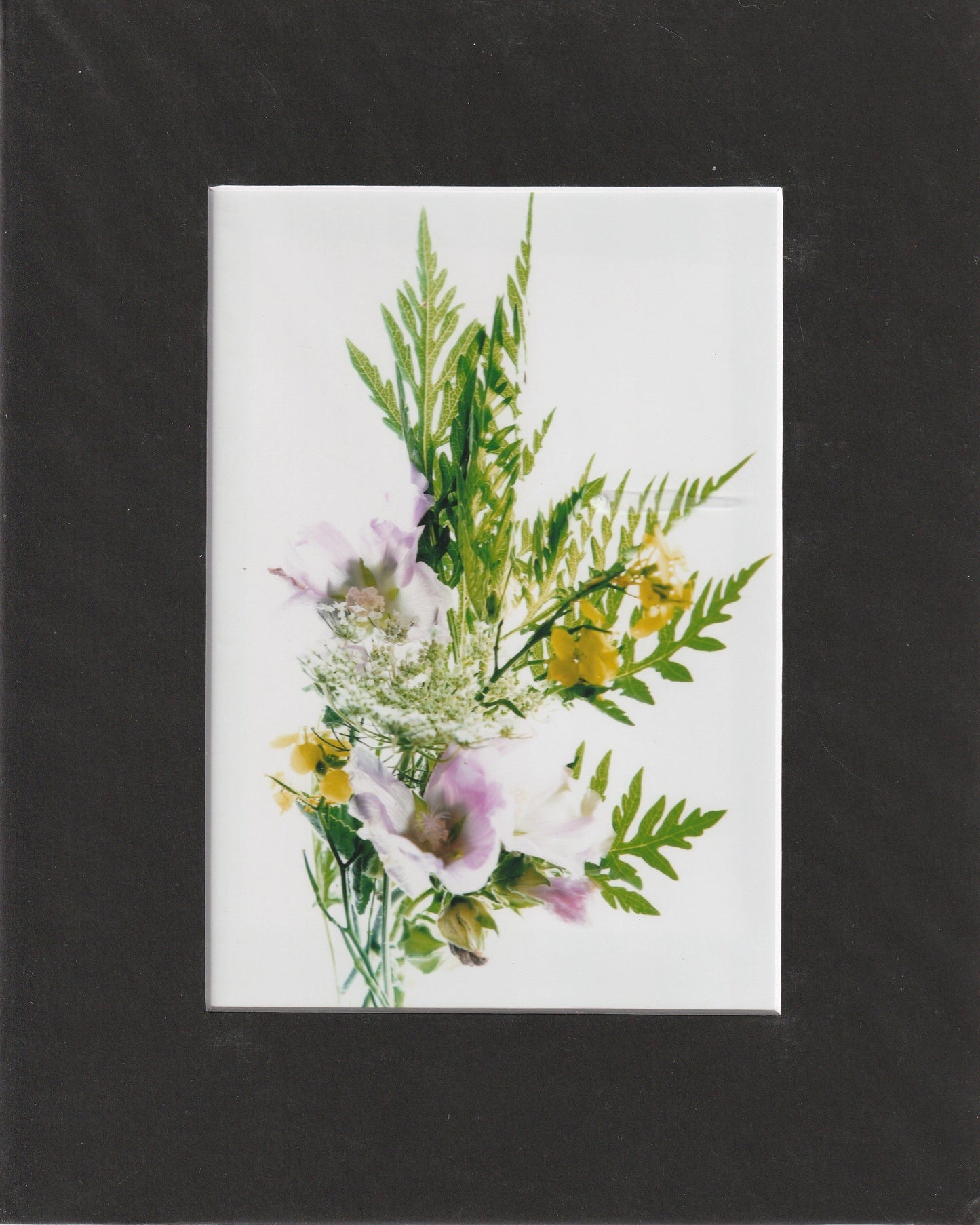 Matted Prints - 8x10