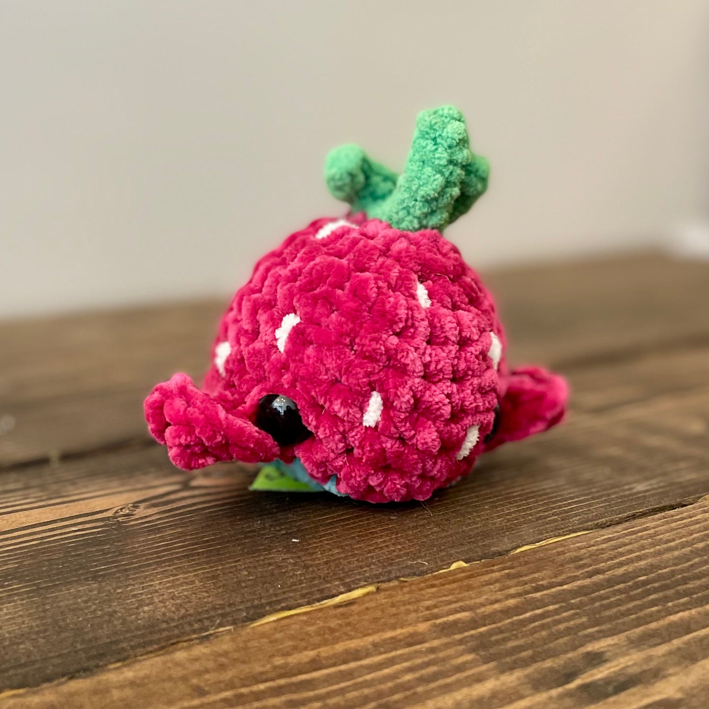 Crunchy Critters Crochet Plushies