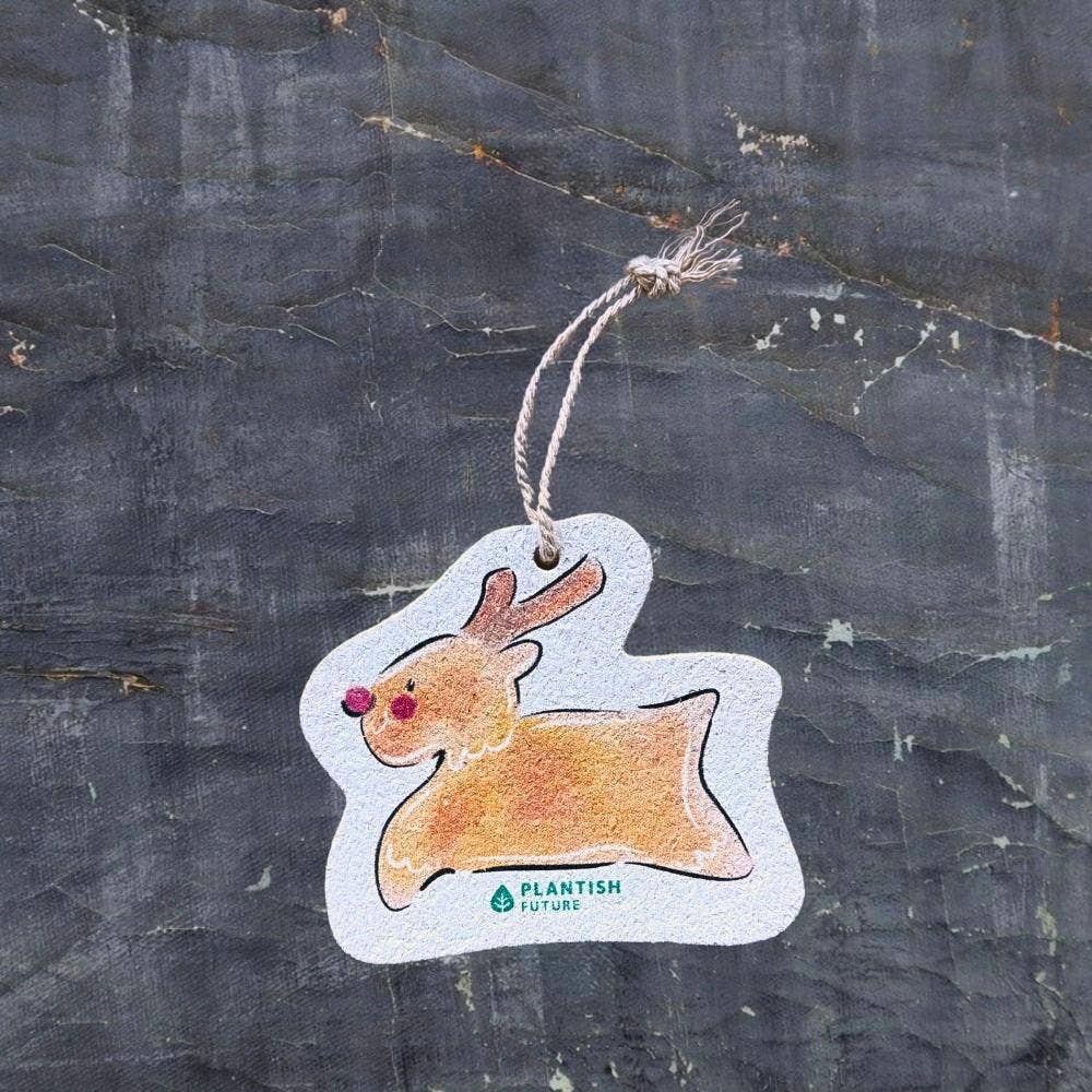 Christmas Pop up Sponge Ornaments