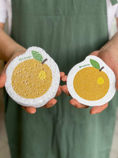 Pop-Up Sponge