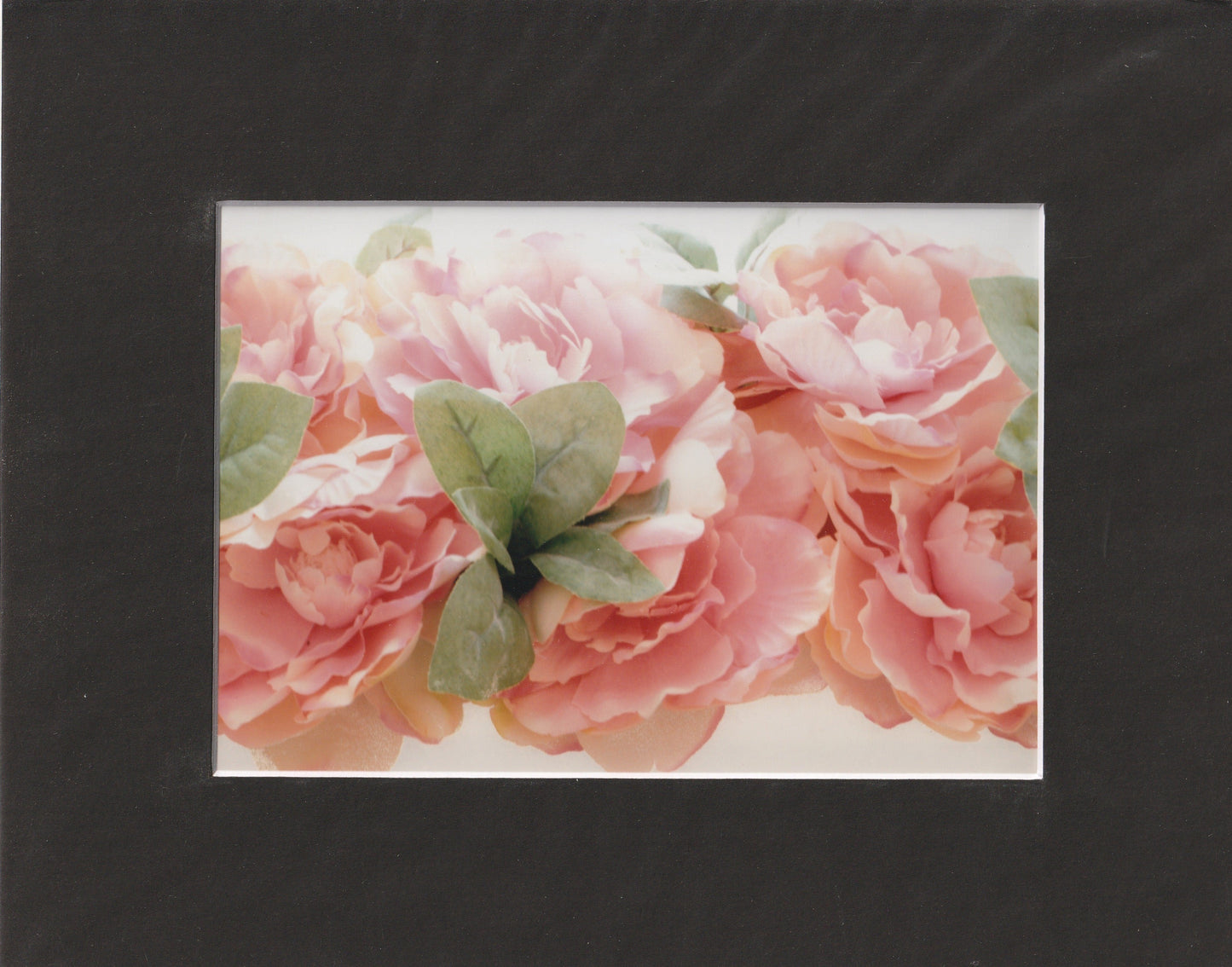 Matted Prints - 8x10