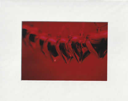 Matted Prints - 8x10