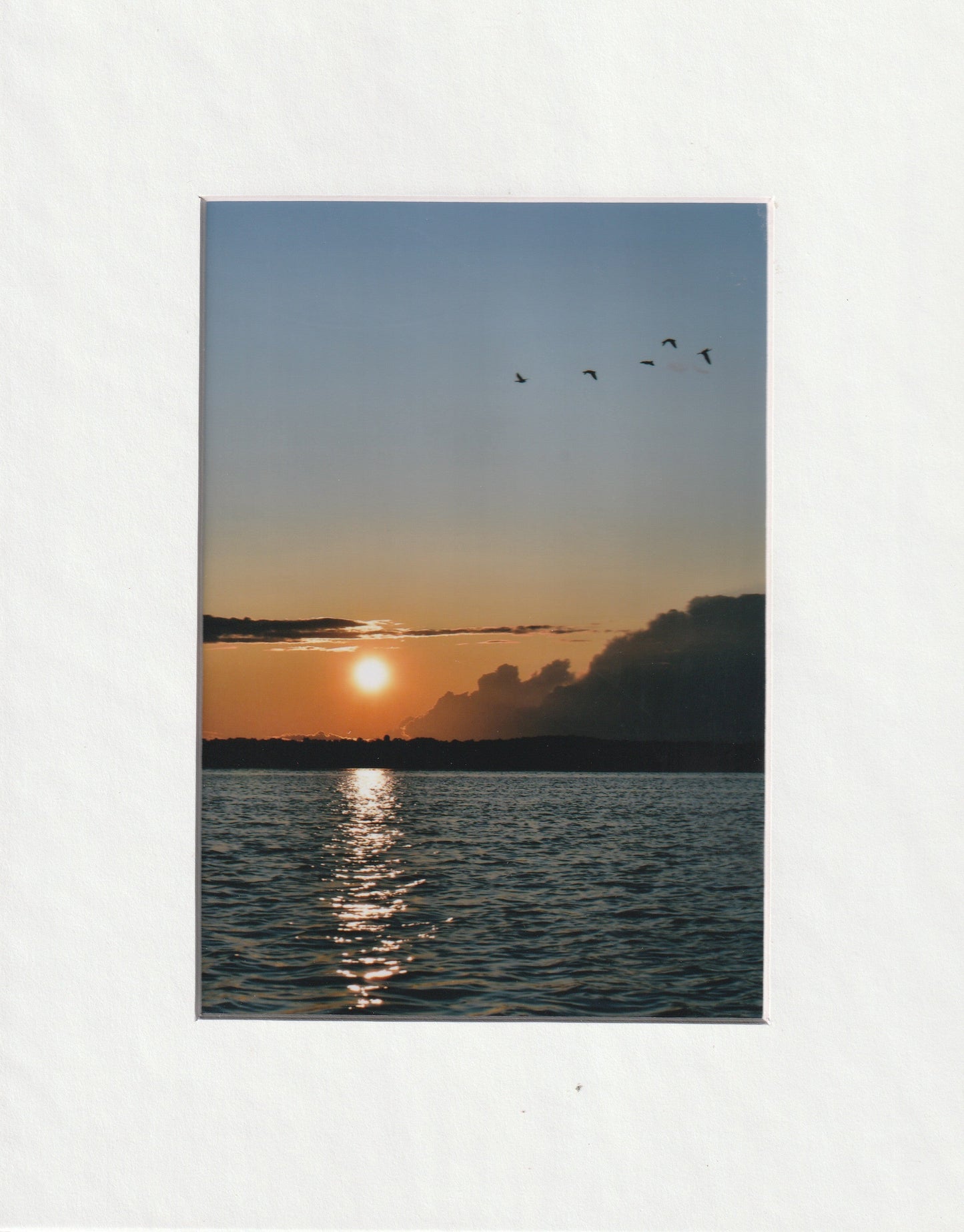 Matted Prints - 8x10
