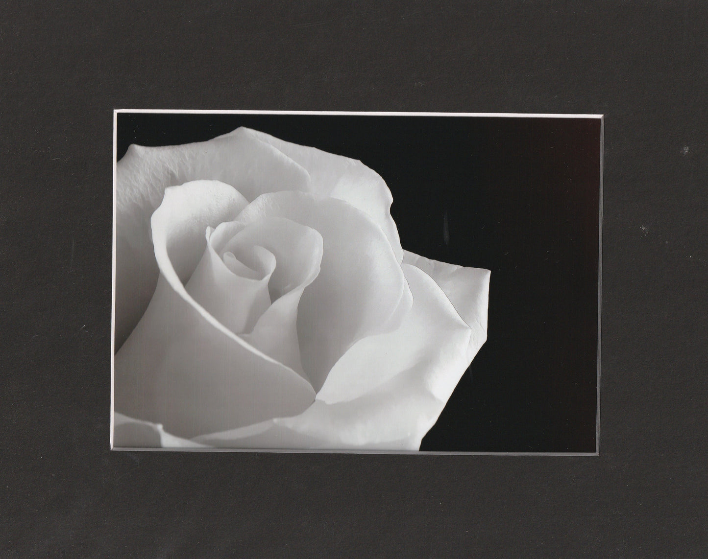 Matted Prints - 8x10