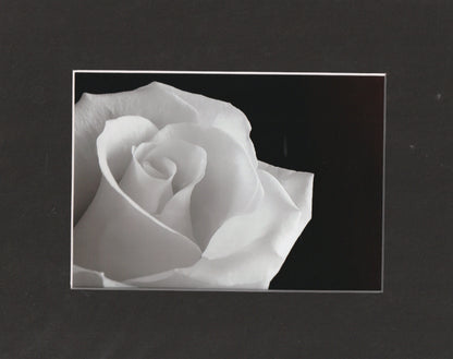 Matted Prints - 8x10
