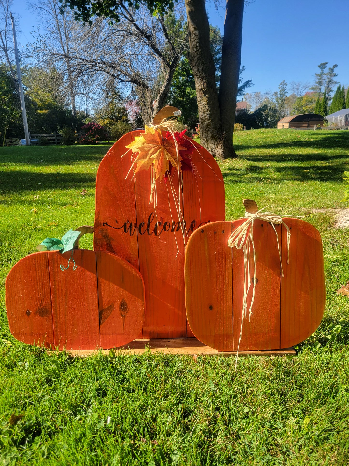 Fall Pumpkins